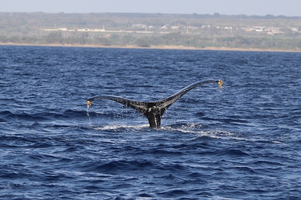 IMG 3379 by Leslie Affeldt Photography