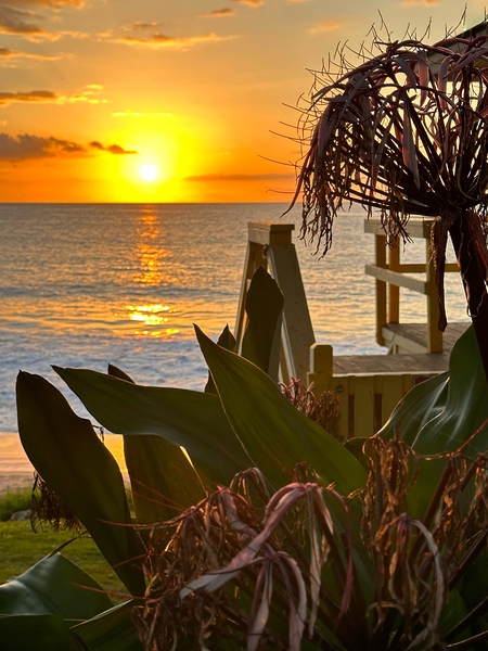 Beauty of Maui by Leslie Affeldt Photography
