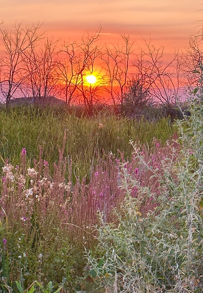 Sunset on Silica Road Print