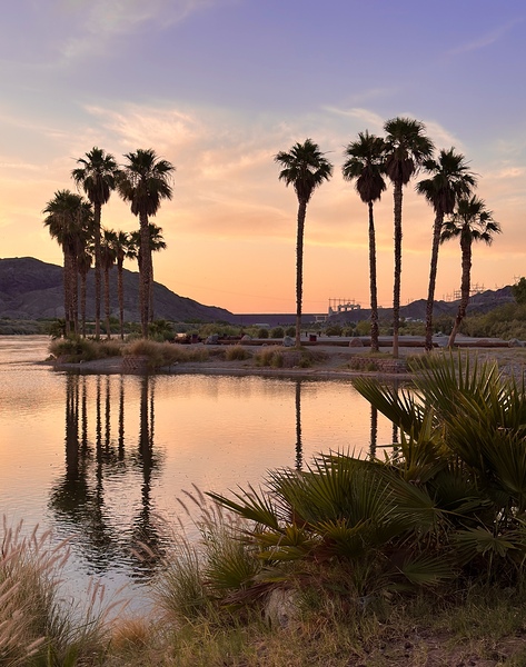 Sunset at Davis Camp -3 vertical by Leslie Affeldt Photography