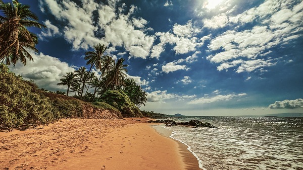 IMG 1053 jpg by Leslie Affeldt Photography