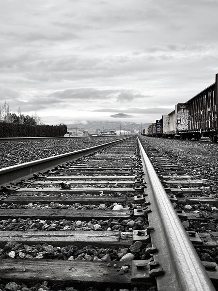 Don’t Look Back by Leslie Affeldt Photography