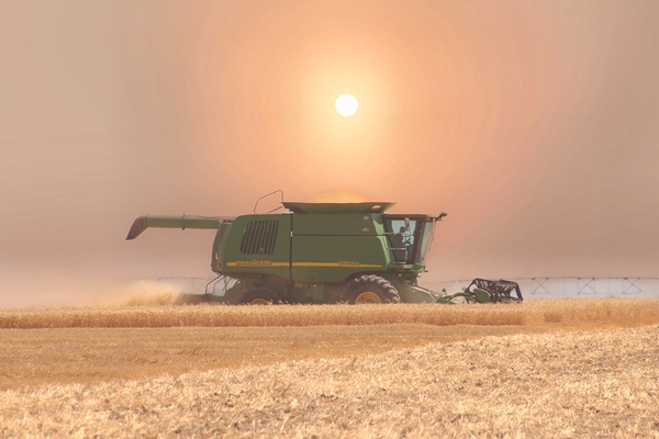 Wheat Havest Sundown by Leslie Affeldt Photography