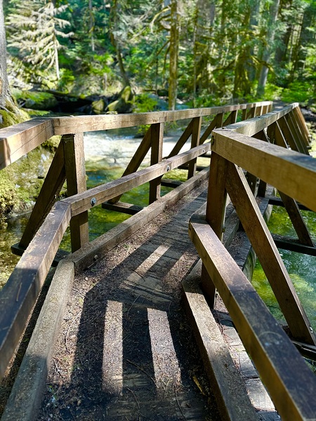 Bend in the Forest by Leslie Affeldt Photography