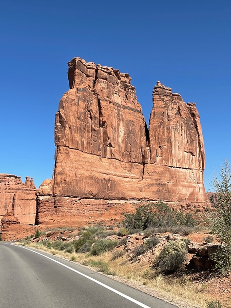 The Organ by Leslie Affeldt Photography
