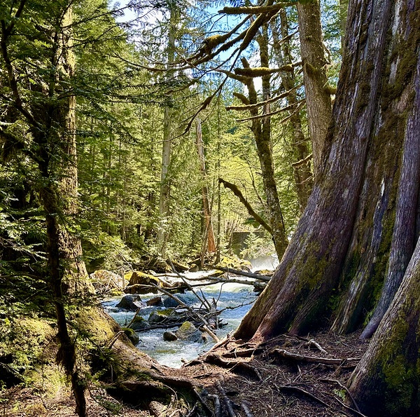 IMG 2451 by Leslie Affeldt Photography