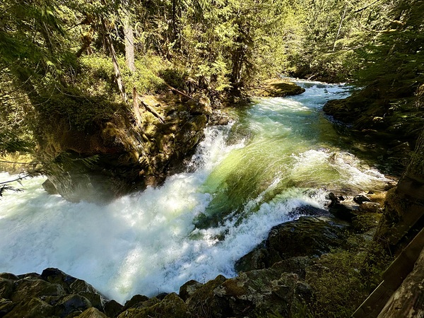 IMG 2459 by Leslie Affeldt Photography