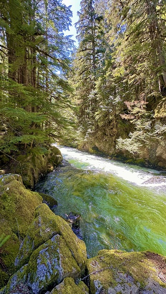 Beautiful…. by Leslie Affeldt Photography