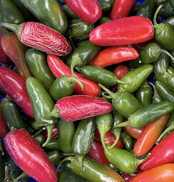 Holy Jalapenos   Print