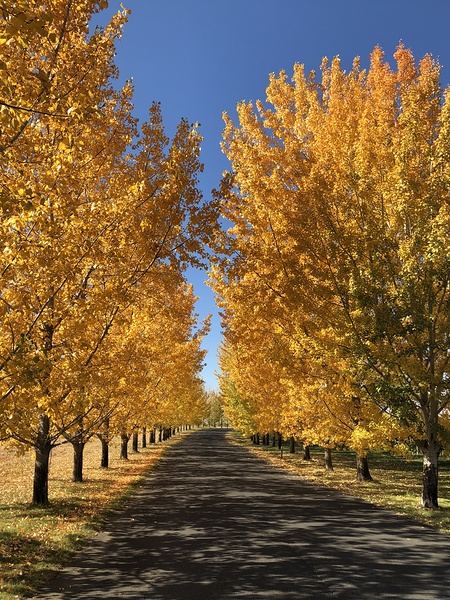 The Road to Cave B Print