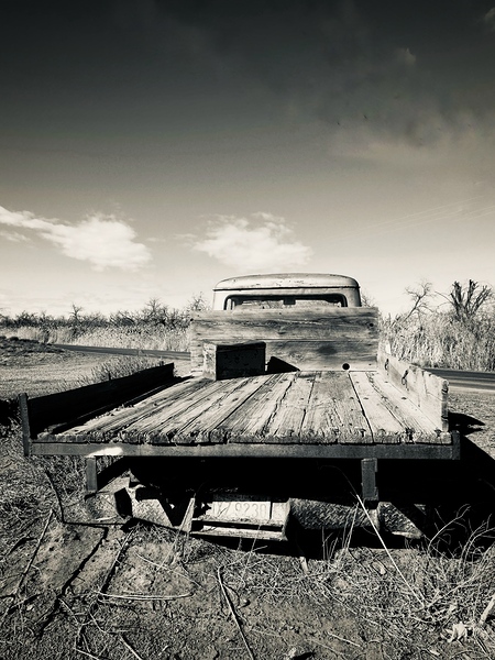 IMG 1344 by Leslie Affeldt Photography