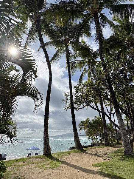 Oahu Beach by Leslie Affeldt Photography