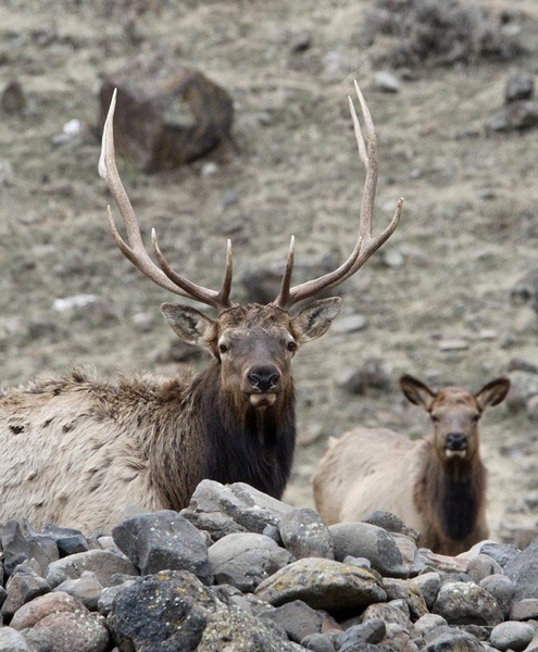 78E1B13B 4BAC 485E 8ACA 930D51ADAB08 1 105 c Print