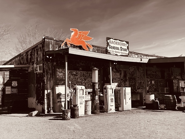 Hackberry by Leslie Affeldt Photography