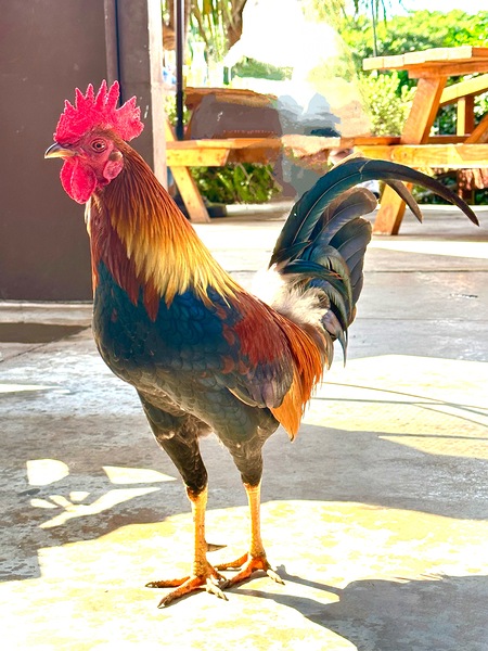 IMG 1103 Copy by Leslie Affeldt Photography