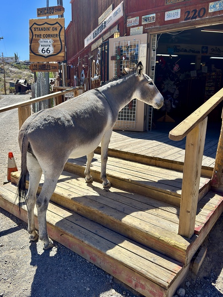 What’s on sale   Print