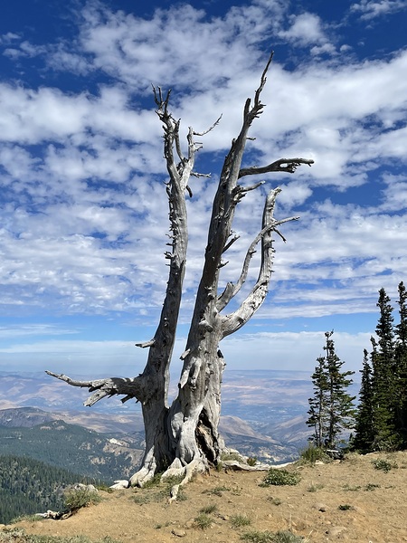 Wentachee Overlook - color Print