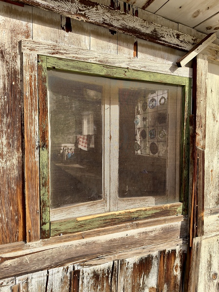 IMG 4050 by Leslie Affeldt Photography