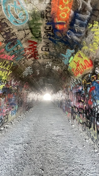 Baird Springs Tunnel -vertical Print