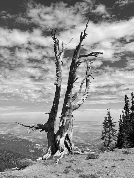 Wenatchee Overlook - black and white Print