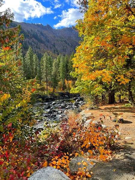 Autumn at Icicle River Print