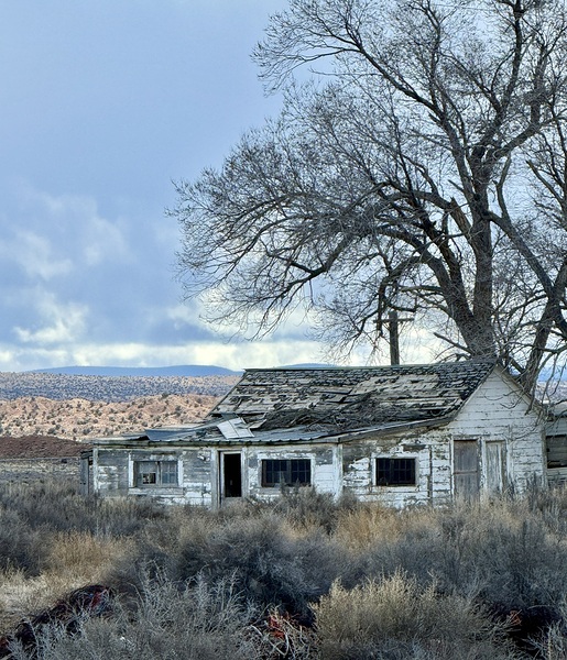 Farmhouse Decay - vertical Print