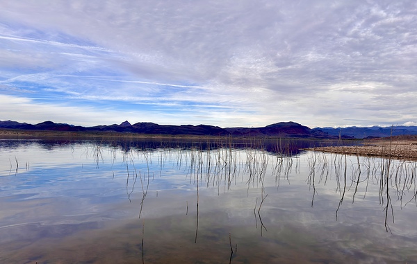 Alamo Lake Arizona -2 by Leslie Affeldt Photography