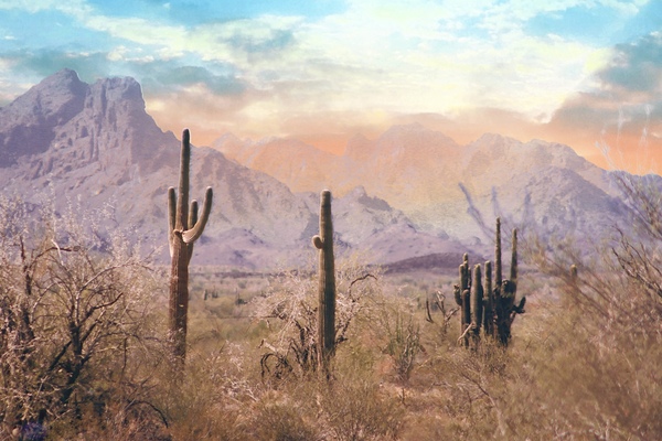 Pastel Desert by Leslie Affeldt Photography