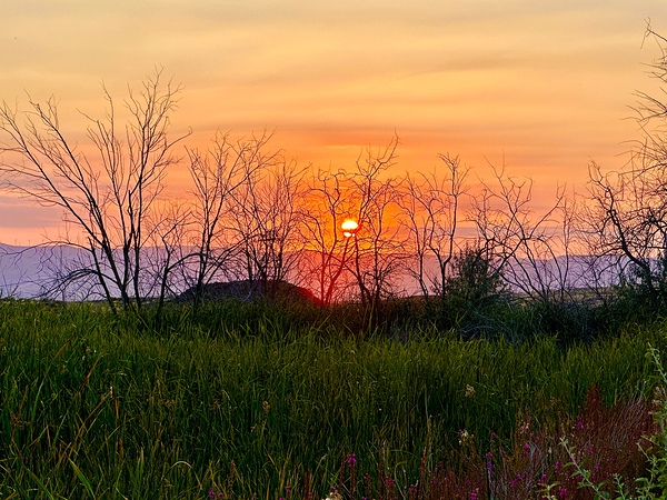 Sunset on Silica Road -2 Print