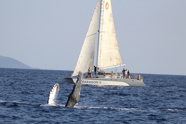 IMG 3372 by Leslie Affeldt Photography