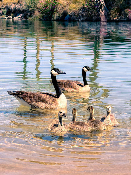 Little ripples big love  by Leslie Affeldt Photography