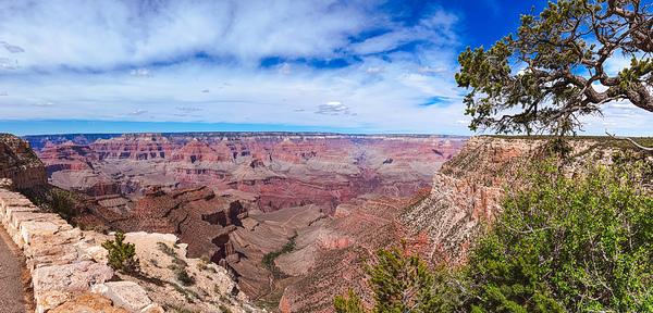Grand Canyon from Grand Canyon Village Print
