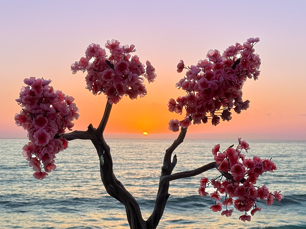 Rosarito Sunset - Rosarito Baja Mexico Print