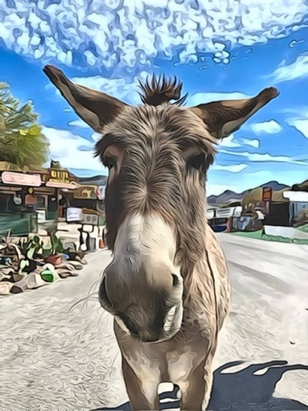 Oatman Donkey - abstract version by Leslie Affeldt Photography