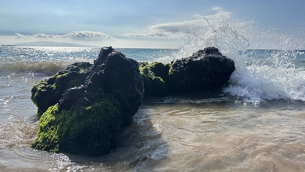 Maui on the Rocks by Leslie Affeldt Photography