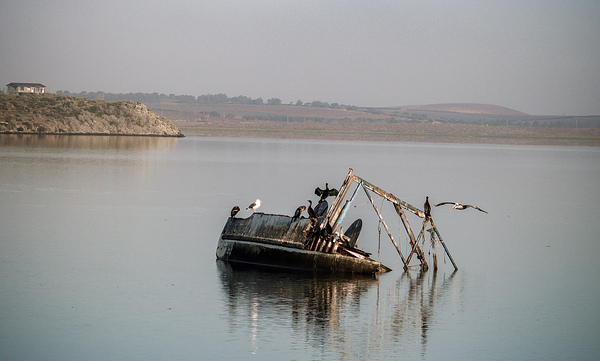Silent Wreckage on Still Waters by Leslie Affeldt Photography
