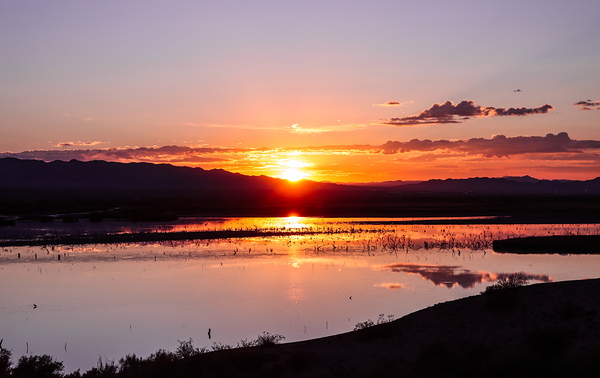 Havasu National Wildlife Refuge 7-18-25 Print