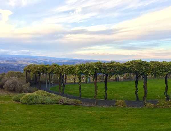 The piazza at Cave B Winery Print