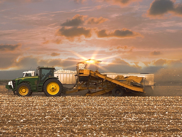 Thank a Farmer Print