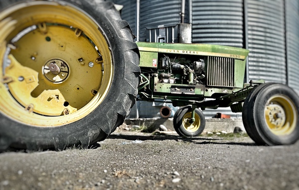 IMG 1442 by Leslie Affeldt Photography