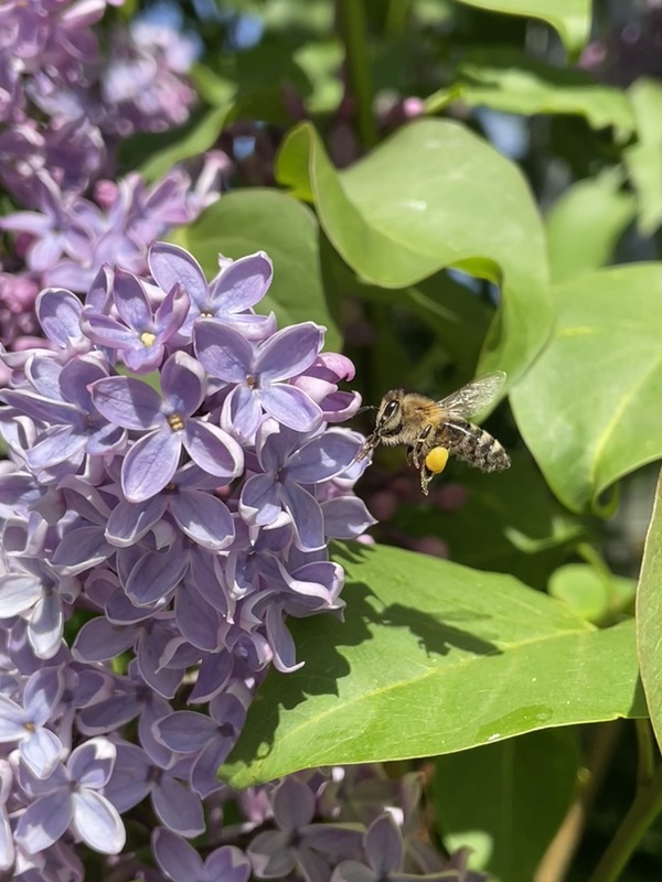 Saving the World Print