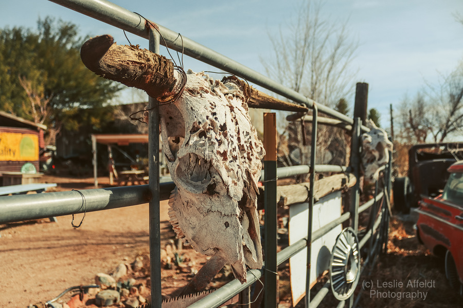 Weathered by Time  Print