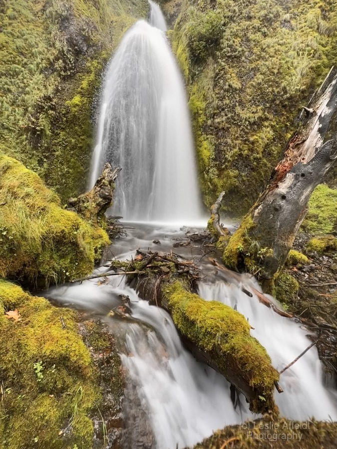 Wahkeena Falls  Print