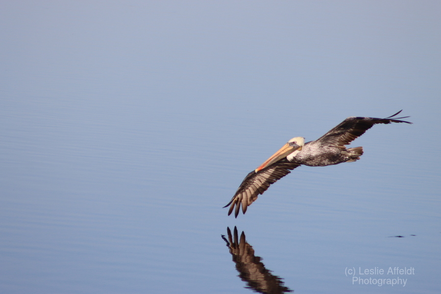 Touching the liquid sky  Print
