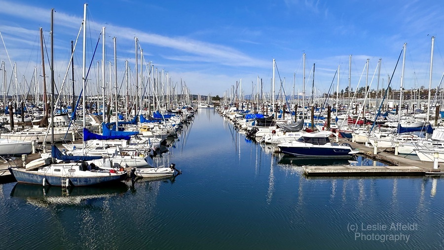 Everett Marina  Print