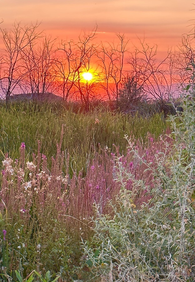 Sunset on Silica Road  Print