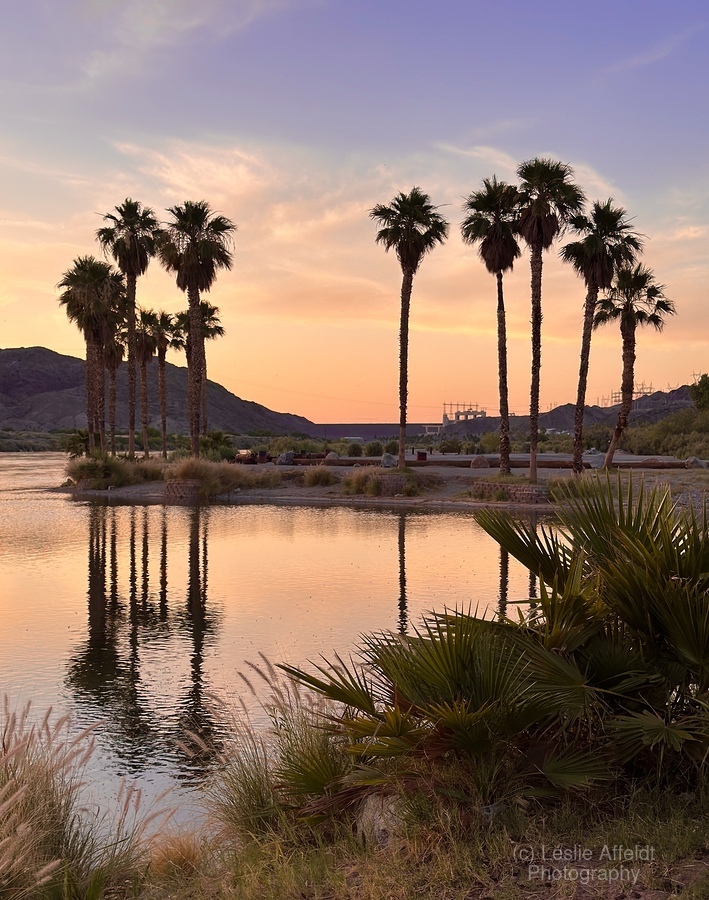 Sunset at Davis Camp -3 vertical  Print