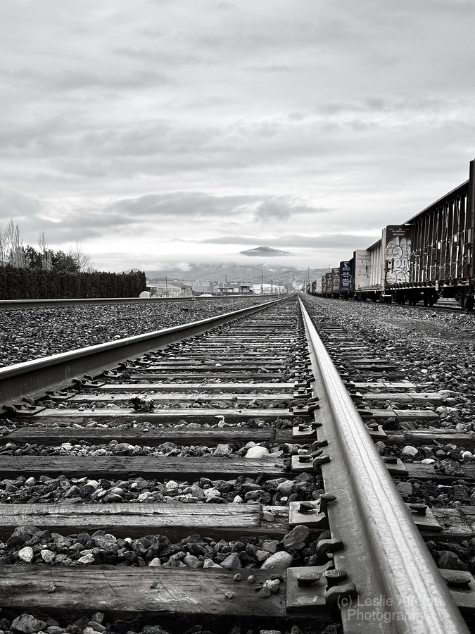 Don’t Look Back  Print