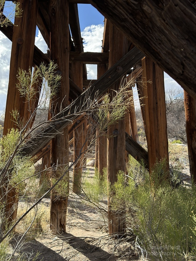 Under the Trestle  Print