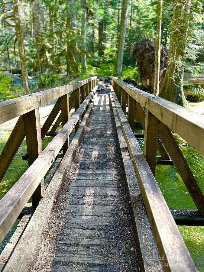 Forest Bridge  Print